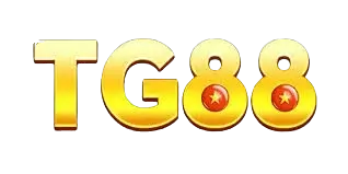 5tg88 com